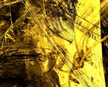 Sigur_Ros 